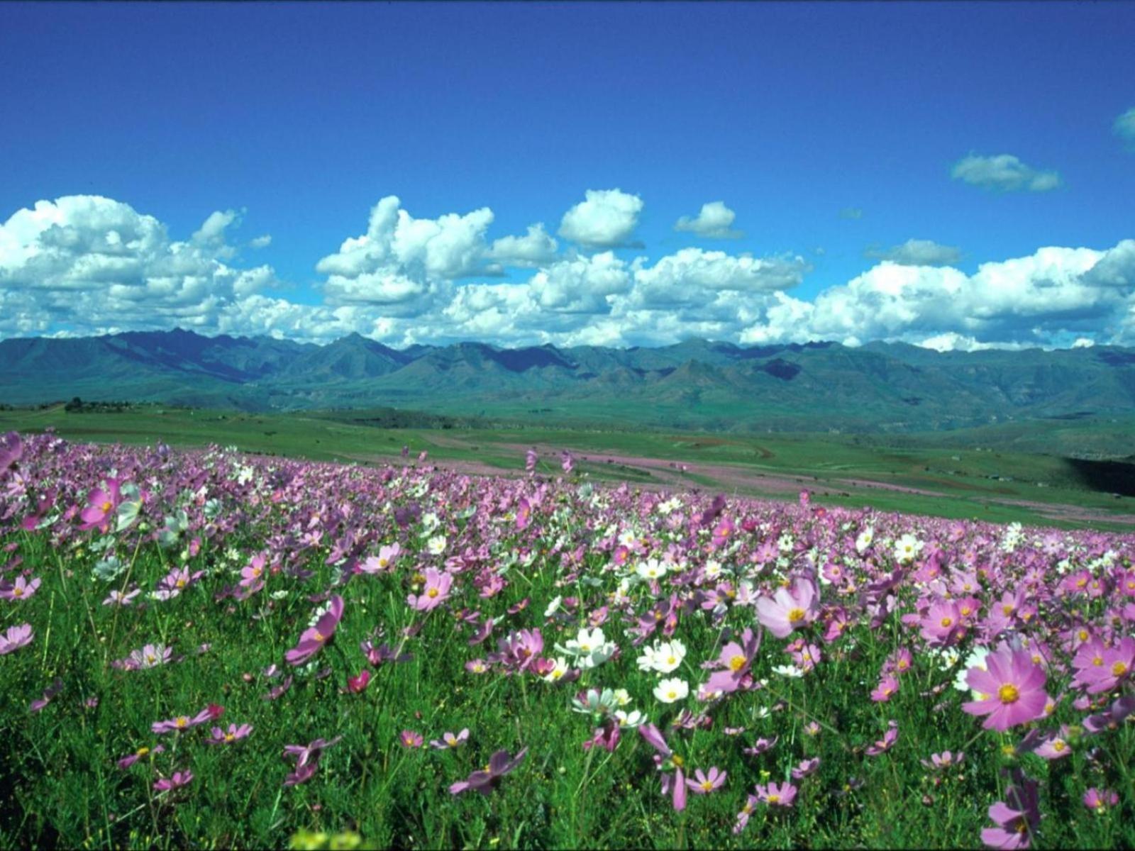 Malealea Lodge 外观 照片